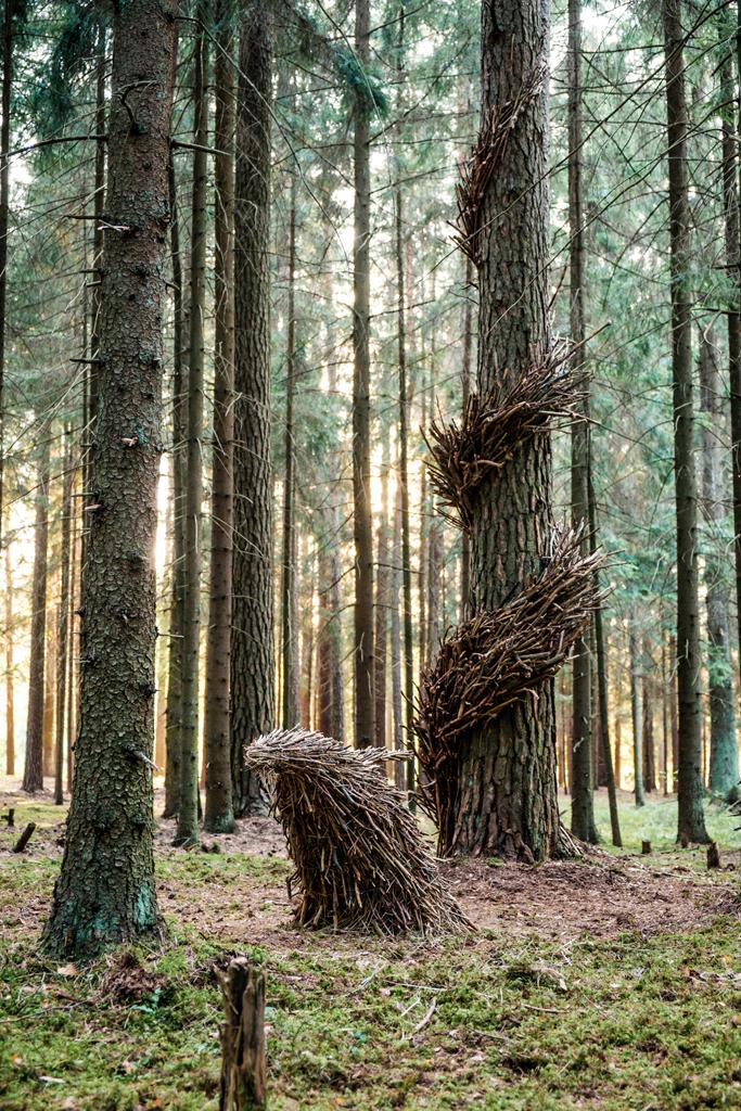 Land Art Camp Belarus 2017. ÐÐ°Ð´Ñ ÐÐ°Ð¹Ð´ÑÐºÐµÐ²Ð¸Ñ Ð¸ ÐÐ°ÑÐ° Ð¡ÐºÐ¾ÑÑÐ½Ð¸Ð½Ð° , ÐÐµÐ»Ð°ÑÑÑÑ â Â«ÐÑÐµÐ´ÑÑÐ°Ð²Ñ Ð´ÑÐ°ÐºÐ¾Ð½Ð°Â»