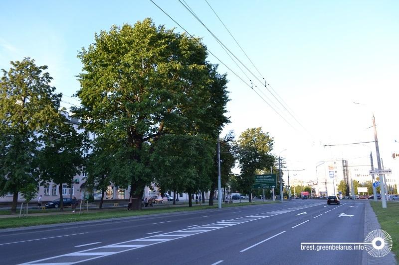 ÐÑÐ¾ÑÐ¿ÐµÐºÑ ÐÐ°ÑÐµÑÐ¾Ð²Ð°
