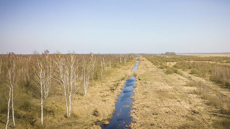  ptushki.org