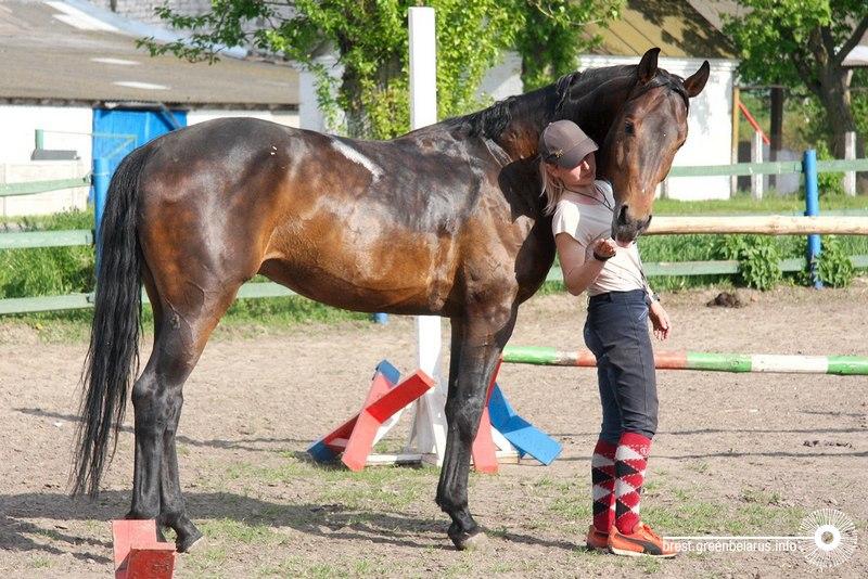 ÐÑÐ±Ð¾Ð²Ñ Ðº Ð»Ð¾ÑÐ°Ð´ÑÐ¼ Ð²Ð¾Ð·Ð½Ð¸ÐºÐ°ÐµÑ ÑÐ°Ð¼Ð° Ð¿Ð¾ ÑÐµÐ±Ðµ Ð¸ Ð¸Ð´ÑÑ Ð¿Ð°ÑÐ°Ð»Ð»ÐµÐ»ÑÐ½Ð¾ Ð¶Ð¸Ð·Ð½Ð¸