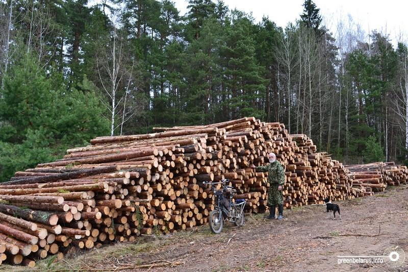 ÐÑÐ¾Ð¼ÑÐºÐ»Ð°Ð´ ÑÐ¾Ð½ÐºÐ¾Ð¼ÐµÑÐ° Ñ ÑÑÐ±ÐºÐ¸ ÑÑÐ¾Ð´Ð°. ÐÑÐµÐ²ÐµÑÐ¸Ð½Ð° Ð·Ð´Ð¾ÑÐ¾Ð²Ð°Ñ, ÑÐ¾Ð²Ð½Ð°Ñ, Ð±ÐµÐ· Ð¸Ð·ÑÑÐ½Ð¾Ð²