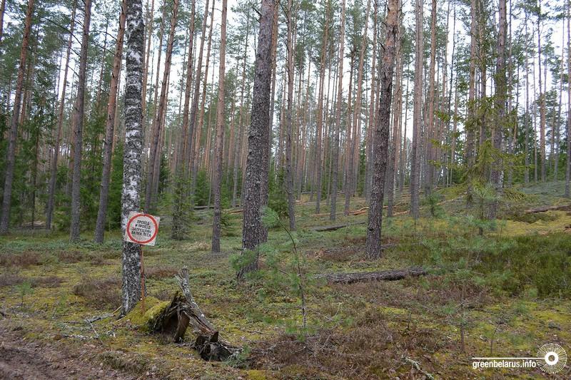 Ð¡ÑÐ¿ÐµÑÑÑÐ¾Ð´. ÐÑÑÑ, Ð³Ð´Ðµ ÑÐ°Ð·Ð³ÑÐ»ÑÑÑÑÑ Ð²ÐµÑÑÑ Ð¸ Ð²ÑÑÐ°ÑÑÐ¸ Ð¼Ð°Ð»Ð¸Ð½Ðµ