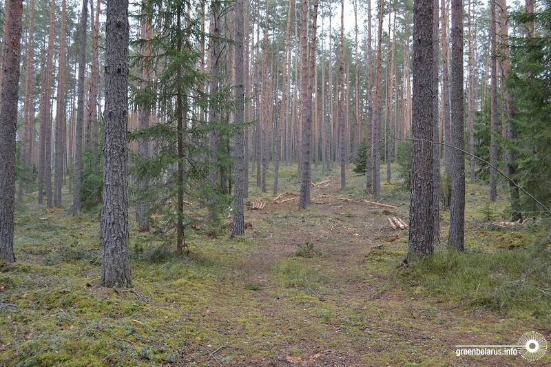 Ð¡ÑÐ¿ÐµÑÑÑÐ¾Ð´-2