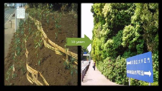 Ð¡Ð°Ð´, Ð¿Ð¾ÑÐ°Ð¶ÐµÐ½Ð½ÑÐ¹ Ð¿ÑÐ¾ÑÐµÑÑÐ¾ÑÐ¾Ð¼ ÐÐ¸ÑÐ²Ð°ÐºÐ¸ Ð¸ ÐµÐ³Ð¾ ÑÑÑÐ´ÐµÐ½ÑÐ°Ð¼Ð¸ 10 Ð»ÐµÑ Ð½Ð°Ð·Ð°Ð´. Ð¤Ð¾ÑÐ¾: boomforest.org