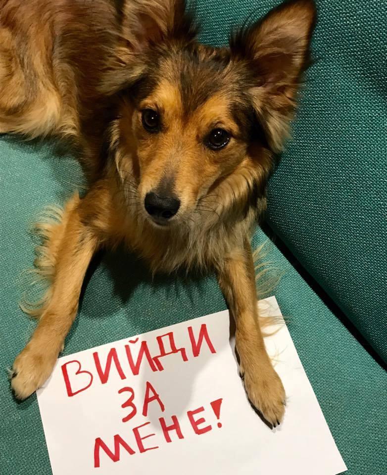 ÐÑÑÐ°Ñ ÑÐ¾ÑÐ° â Uanimals
