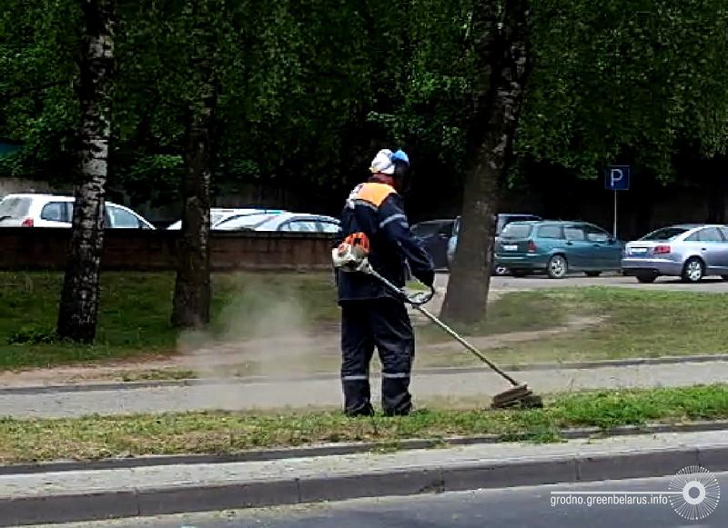 ÐÐ¾ÑÐµÑ Ð´ÐµÑÐ¶Ð¸Ñ Ð¿Ð¾Ð´ ÑÐ³Ð»Ð¾Ð¼ ÑÑÐ¸Ð¼Ð¼ÐµÑ, ÐºÐ¾ÑÐ¾ÑÑÐ¹ Ð¿Ð¾Ð²ÑÐµÐ¶Ð´Ð°ÐµÑ ÐºÐ¾ÑÐ½Ð¸ ÑÑÐ°Ð²Ñ