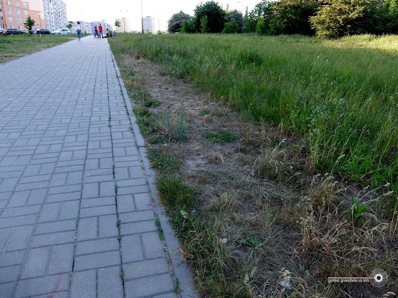 ÐÑÑÐ¾Ð¿ÑÐ°Ð½Ð½Ð¾Ð¹, Ð¿Ð¾Ð¶ÑÑÐ»Ð¾Ð¹ ÑÑÐ°Ð²Ð° Ð² Ð³Ð¾ÑÐ¾Ð´Ðµ ÑÐ°ÑÑÐ¸ Ð½Ðµ Ð´Ð¾Ð»Ð¶Ð½Ð°. ÐÐµÐ»ÑÐ½ÑÐµ Ð¾ÑÑÑÐ¾Ð²ÐºÐ¸ Ð³Ð¾ÑÐ¾Ð¶Ð°Ð½Ðµ ÑÐ½Ð¸ÑÑÐ¾Ð¶Ð°ÑÑ ÑÐ°Ð¼Ð¸
