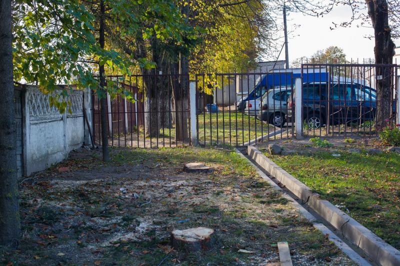 ÐÑÐ¸Ð³Ð¾Ð²Ð¾ÑÑÐ½Ð½Ð¾Ðµ Ð´ÐµÑÐµÐ²Ð¾