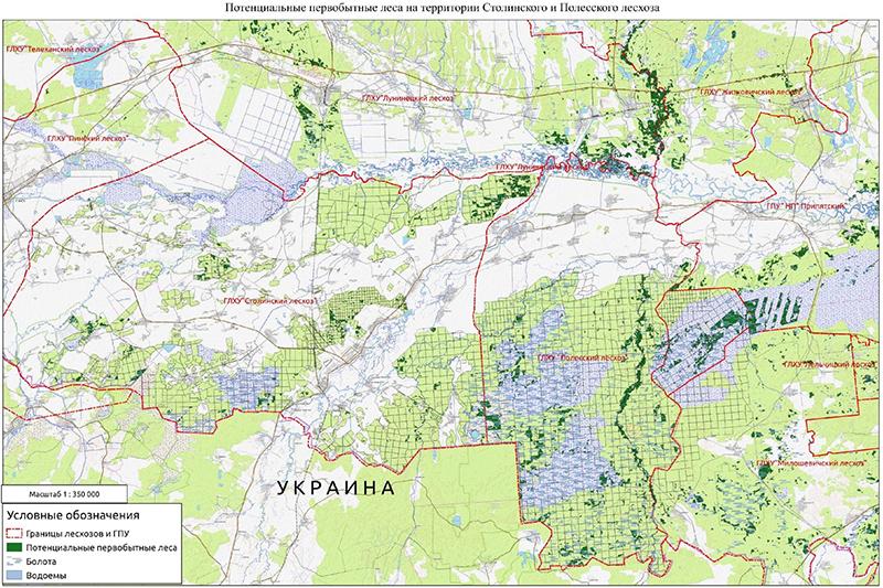 ÐÐ¾ÑÐµÐ½ÑÐ¸Ð°Ð»ÑÐ½ÑÐµ Ð¿ÐµÑÐ²Ð¾Ð±ÑÑÐ½ÑÐµ Ð»ÐµÑÐ° Ð¡ÑÐ¾Ð»Ð¸Ð½ÑÐºÐ¾Ð³Ð¾ Ð¸ ÐÐ¾Ð»ÐµÑÑÐºÐ¾Ð³Ð¾ Ð»ÐµÑÑÐ¾Ð·Ð°
