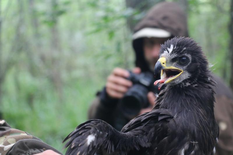 ÐÑÑÑÐ°Ð½Ñ Ð²ÑÐ»ÑÐºÐ°Ð³Ð° Ð°ÑÐ»ÐµÑÐ° Ð¿Ð°Ð·ÑÐµ