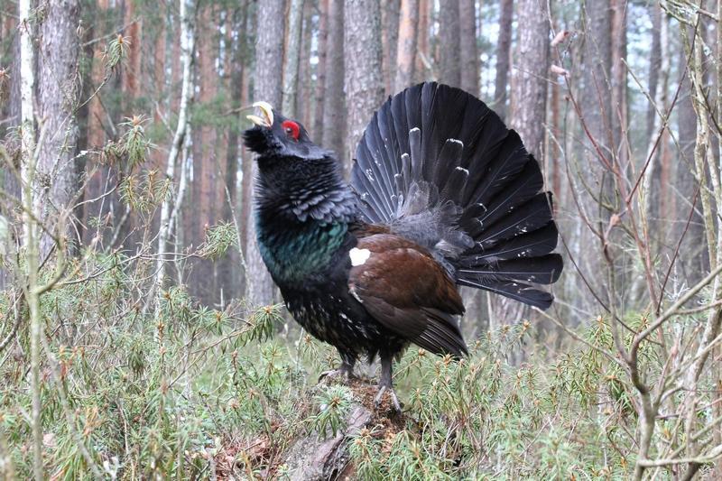 Ð¤Ð¾ÑÐ¾ ÐÐ»ÐµÐºÑÐ°Ð½Ð´ÑÐ° ÐÐ²Ð°Ð½Ð¾Ð²Ð°