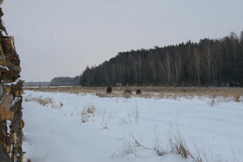 Ð¡Ð½Ð¸Ð¼ÐºÐ¸ ÑÐ¾ÑÐ¾Ð»Ð¾Ð²ÑÑÐºÐ¸