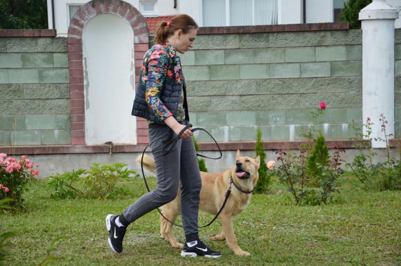 ÐÑÑÐ°Ð²Ð°Ð½ÐµÑ ÐÐ°ÑÑÑÑÐ½Ñ ÐÐ°ÑÐ½Ñ