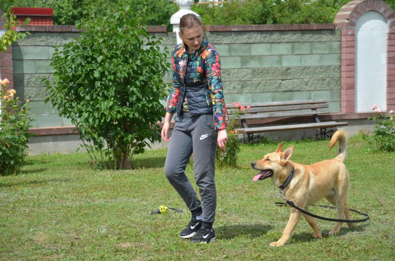 ÐÑÑÐ°Ð²Ð°Ð½ÐµÑ ÐÐ°ÑÑÑÑÐ½Ñ ÐÐ°ÑÐ½Ñ