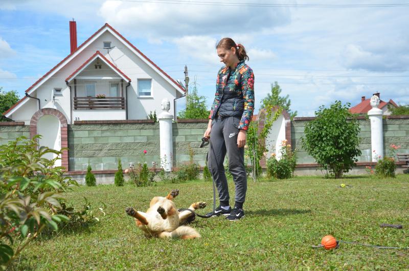 ÐÑÑÐ°Ð²Ð°Ð½ÐµÑ ÐÐ°ÑÑÑÑÐ½Ñ ÐÐ°ÑÐ½Ñ