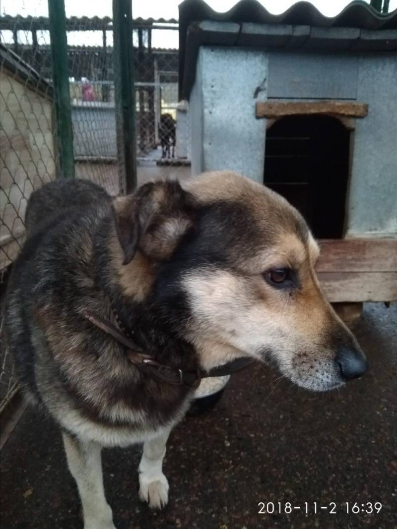 ÐÐ¾Ð±ÐµÐ»Ñ Ð¸Ð· Ð¢Ð°ÑÐ½Ð¾Ð³Ð¾ Ð² Ð¿ÑÐ¸ÑÑÐµ