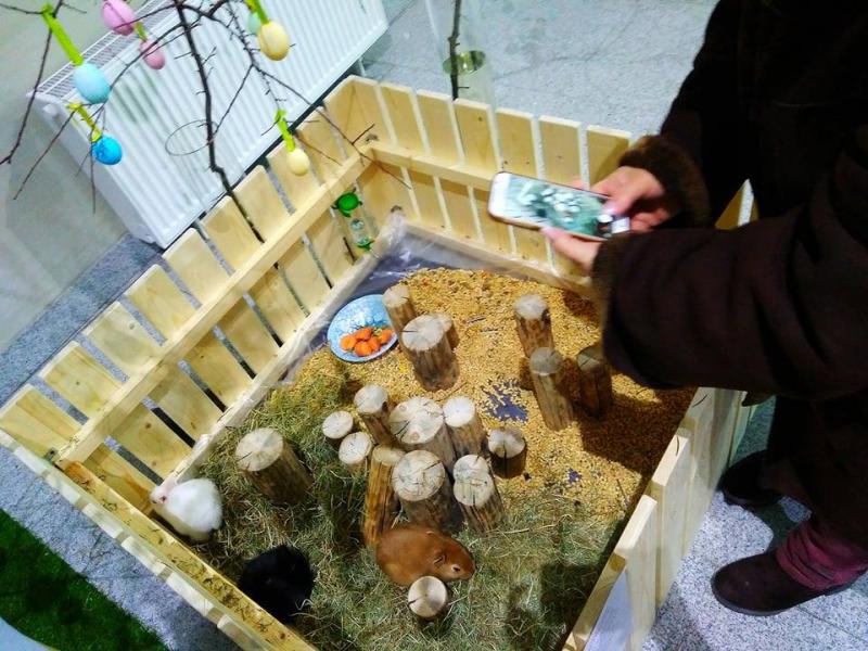 ÐÐ¾Ð»ÑÐµÑ Ñ ÐºÑÐ¾Ð»Ð¸ÐºÐ°Ð¼Ð¸ Ð½Ð° ÑÐ¾ÑÐ¾Ð·Ð¾Ð½Ðµ. Ð¤Ð¾ÑÐ¾ Ð¸Ð· Ð»Ð¸ÑÐ½Ð¾Ð³Ð¾ Ð°ÑÑÐ¸Ð²Ð° ÐÐ¾Ð»Ð¸Ð½Ñ ÐÑÐ·ÑÐ¼Ð¸ÑÐºÐ¾Ð¹