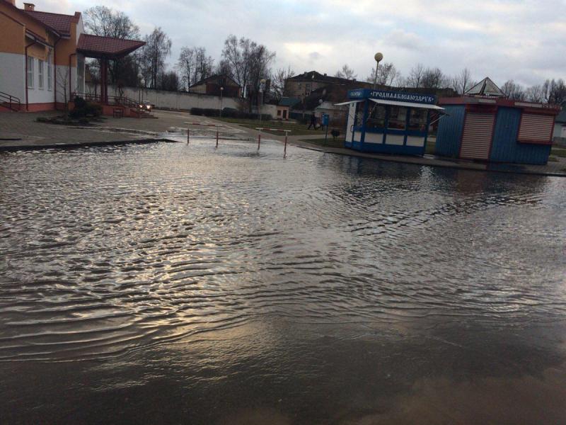 ÐÐ¾Ð»ÑÑÐ½ÑÑ Ð»ÑÐ¶ÑÐ½Ð° ÐºÐ°Ð»Ñ Ð²Ð°ÐºÐ·Ð°Ð»Ð° Ñ Ð¡Ð»Ð¾Ð½ÑÐ¼Ðµ. Ð¤Ð¾ÑÐ° ÐÐ½ÑÐ¾Ð½Ð° ÐÐ°ÑÐ¾Ð»ÑÐºÑ