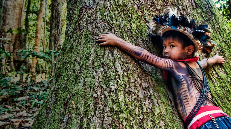  rainforest-rescue.org