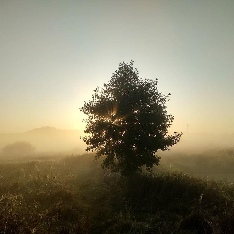 Ð¤Ð¾ÑÐ° - ÐÑÐºÐ¾Ð»Ð° Ð¡ÑÑÐ»Ð°