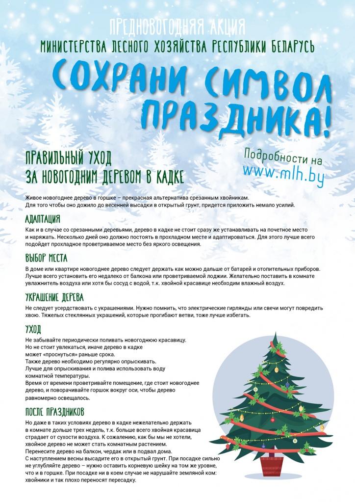 ÐÐ°Ðº ÑÑÐ°Ð¶Ð¸Ð²Ð°ÑÑ Ð·Ð° ÐµÐ»ÐºÐ¾Ð¹ Ð² ÐºÐ°Ð´ÐºÐµ