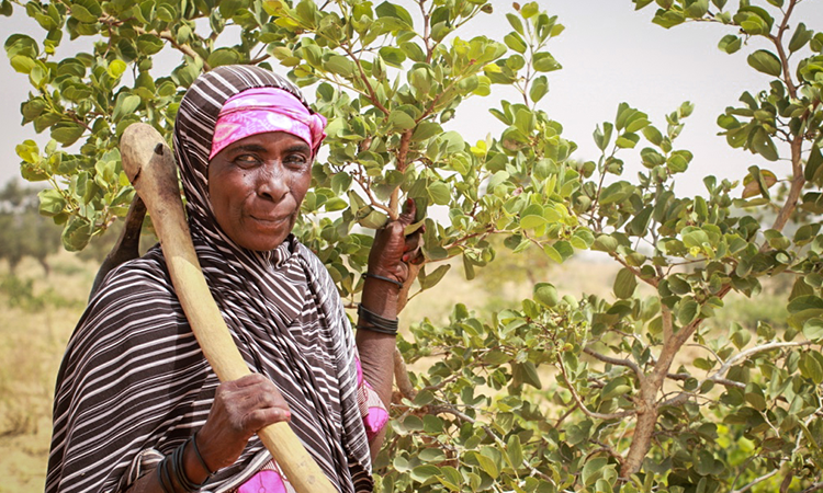  worldvision.org