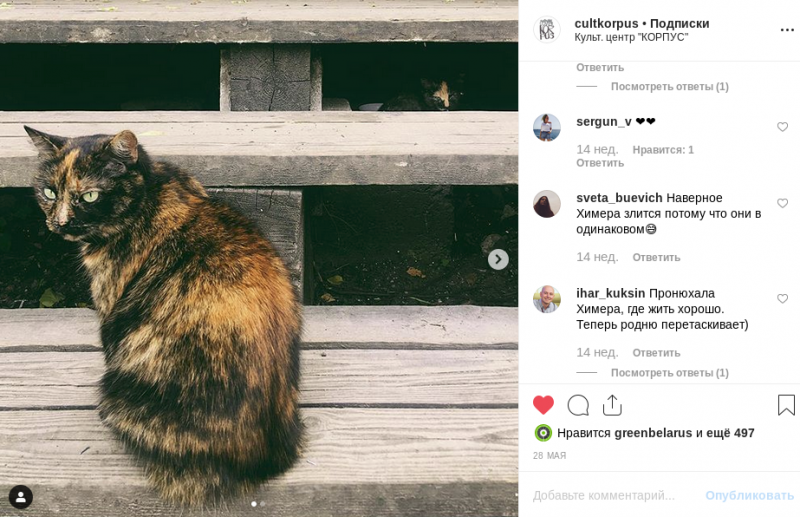  Instagram cultkorpus