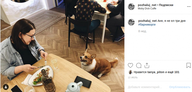  Instagram pozhaluj_net