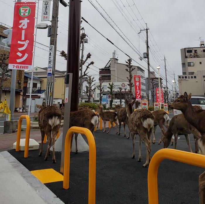 Ð¤Ð¾ÑÐ¾: twitter.com/okadennis