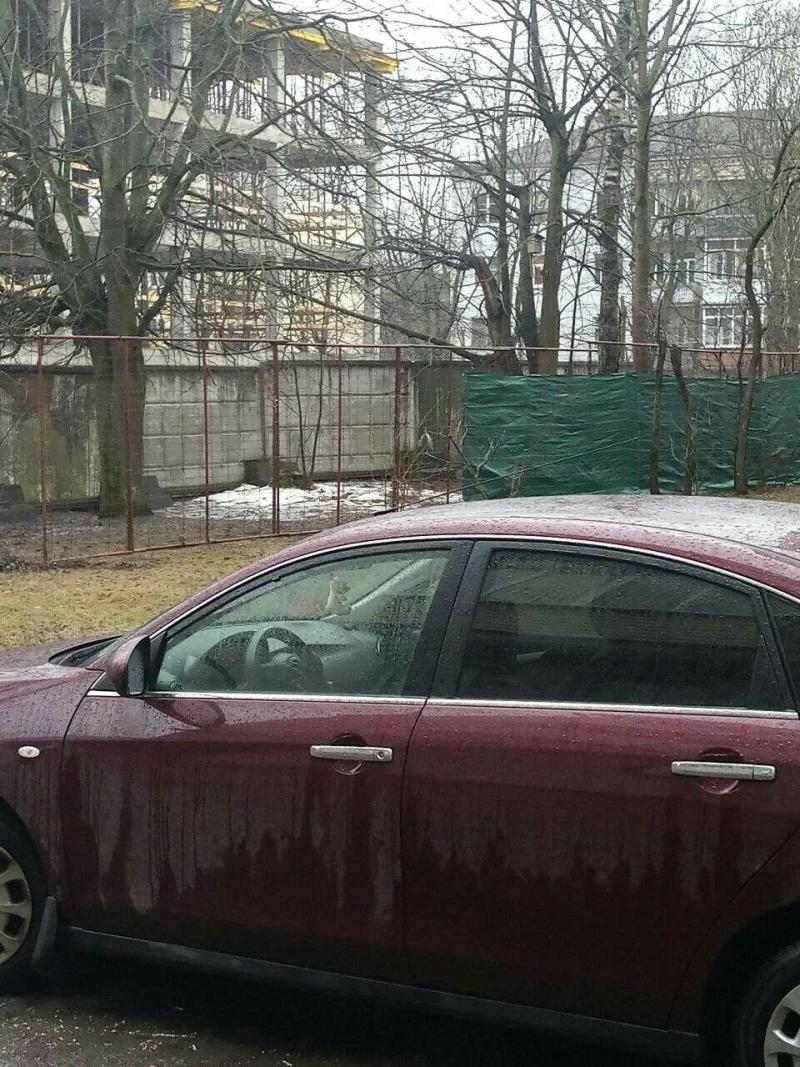  ÑÑÐ»ÐµÐ³ÑÐ°Ð¼-ÐºÐ°Ð½Ð°Ð» "Ð§Ð°Ð»ÑÑÐºÑÐ½ÑÐ°Ñ ÐÐ²ÐµÐ½Ñ"