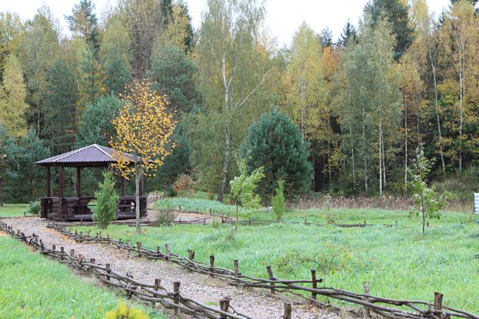 ÐÐµÐ½Ð´ÑÐ¾Ð¿Ð°ÑÐº ÐÐ¾ÐºÑÐ¸ÑÐºÐ¾Ð³Ð¾ Ð»ÐµÑÐ½Ð¸ÑÐµÑÑÐ²Ð°