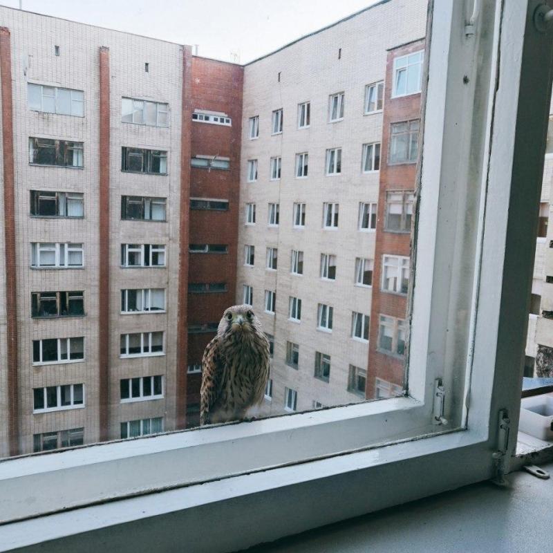 Ð¤Ð¾ÑÐ¾ - ÐÐ½ÑÐ¾Ð½ ÐÐ²Ð°Ð½Ð¾Ð²