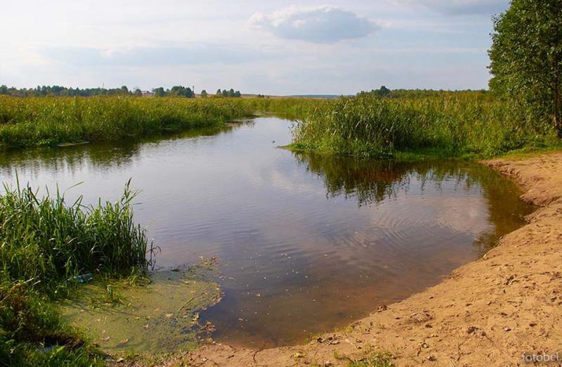 Ð¤Ð¾ÑÐ¾ ÐÐ¼Ð¸ÑÑÐ¸Ñ ÐÐ²ÑÐµÐ½ÐºÐ¾