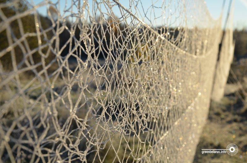 Ð¯Ðº ÑÐ¾Ð»ÑÐºÑ ÑÐ´Ð°ÑÑÐ»Ñ Ð¿ÐµÑÑÑÑ Ð¼Ð°ÑÐ°Ð·Ñ Ð°Ð´Ð»Ð¾Ñ Ð¿ÑÑÑÐ°Ðº Ð¿ÑÑÐ¿ÑÐ½ÑÐµÑÑÐ°