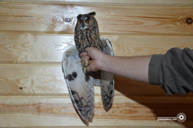Ð£ ÑÑÐ¼Ð½Ñ ÑÐ°Ñ ÑÑÑÐ°Ðº Ñ ÑÐµÑÐºÑ Ð¿Ð°ÑÑÐ°Ð¿Ð»ÑÑÑÑ Ð´ÑÐ°Ð¿ÐµÐ¶Ð½ÑÐºÑ - Ð²ÑÑÐ°ÑÑÐ°Ñ ÑÐ°Ð²Ð°