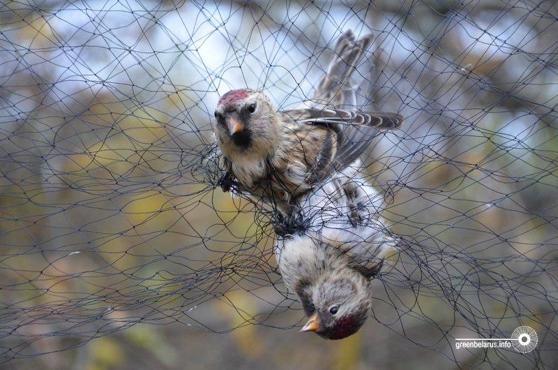 Ð§Ð°ÑÐ¾ÑÐºÑ