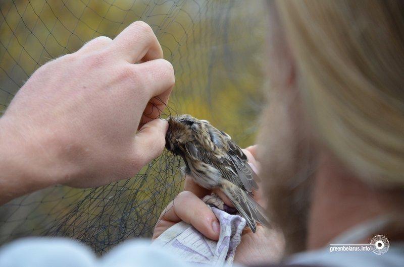 ÐÐ·ÑÐ½ÑÑ ÑÑÐ¿Ð»ÑÐ²Ð° Ð²ÑÐ±Ð»ÑÑÐ²Ð°Ðµ ÑÐ°ÑÐ¾ÑÐºÑ Ð· ÑÐµÑÐºÑ
