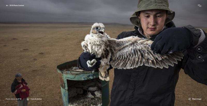 Brent Stirton