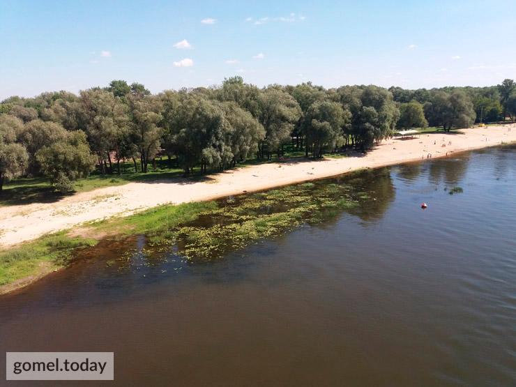 ÐÐµÐ²ÑÐ¹ Ð±ÐµÑÐµÐ³ Ð¡Ð¾Ð¶Ð° Ñ Ð¾ÑÑÑÑÐ¿Ð¸Ð²ÑÐµÐ¹ Ð²Ð¾Ð´Ð¾Ð¹