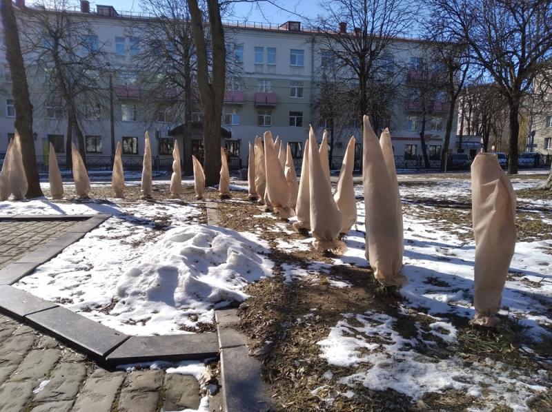 Ð­ÑÐ¾ Ð½Ðµ Ð¼ÐµÑÑÐ° Ð¼ÐµÑÑÐ½Ð¾Ð³Ð¾ ÐÑ-ÐÐ»ÑÑ-ÐºÐ»Ð°Ð½Ð°. Ð Ð½Ðµ Ð°ÐºÑÐ¸Ñ. Ð­ÑÐ¾ ÑÐºÑÑÑÑÐµ ÑÐ¿Ð¾Ð½Ð±Ð¾Ð½Ð´Ð¾Ð¼ Ð¾Ñ Ð½ÐµÐ¿Ð¾Ð³Ð¾Ð´Ñ Ð´ÐµÑÐµÐ²ÑÐ° Ð½Ð° Ð±ÑÐ»ÑÐ²Ð°ÑÐµ Ð¢Ð¾Ð»Ð±ÑÑÐ¸Ð½Ð°