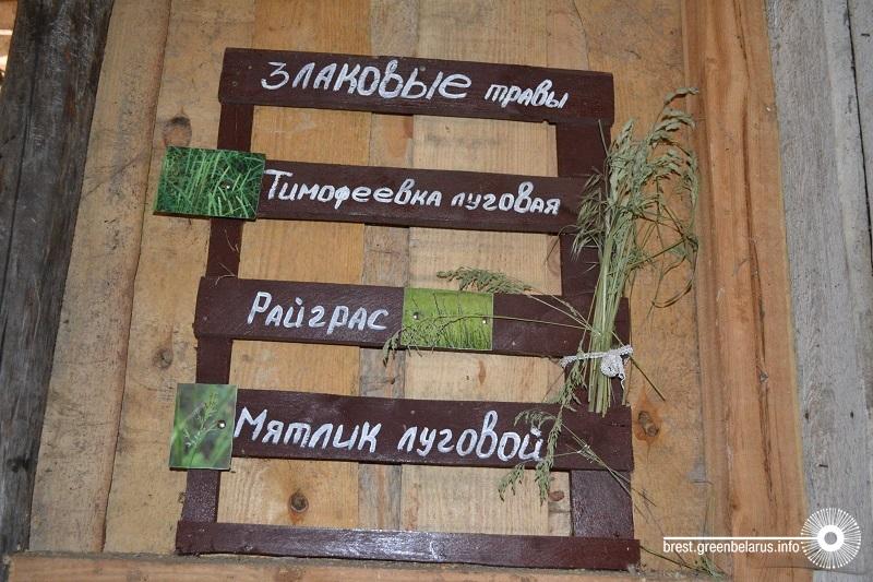 ÐÐ° ÐºÐ¾Ð½ÑÑÐ½Ðµ ÐµÑÑÑ ÑÐ¿ÐµÑÐ¸Ð°Ð»ÑÐ½ÑÐ¹ ÑÑÐµÐ½Ð´ Ñ Ð¾Ð±ÑÐ°Ð·ÑÐ°Ð¼Ð¸ ÑÑÐ°Ð²Ð¾Ðº