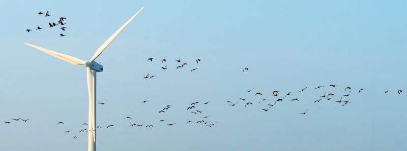 Photo by Marijs / Shutterstock