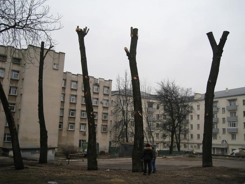 Ð£Ð»Ð¸ÑÐ° ÐÐ¾ÑÐ¾Ð»Ñ, 16 Ð² ÐÐ¸Ð½ÑÐºÐµ