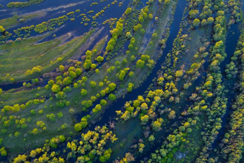 Ð¤Ð¾ÑÐ° - ÐÑÐºÑÐ°Ñ ÐÐ°Ð»ÑÑÑÑÑ