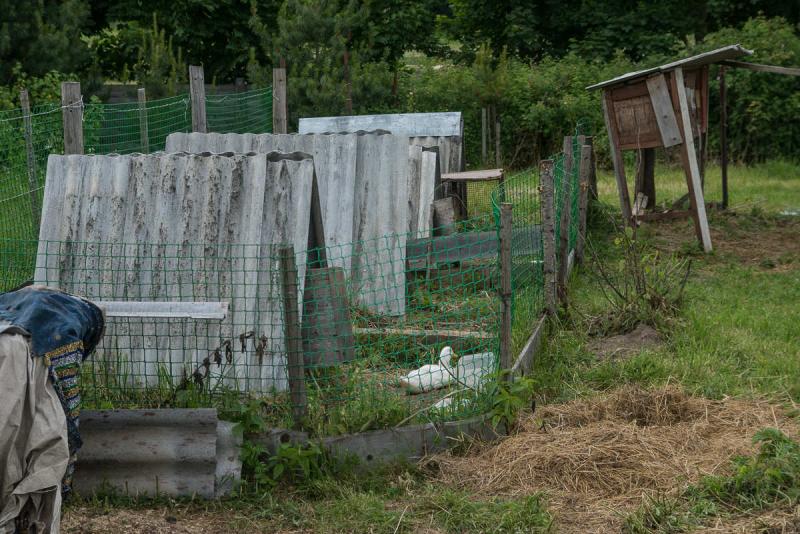 ÐÑÐµÐ¼ÐµÐ½Ð½ÑÐµ Ð²Ð¾Ð»ÑÐµÑÑ ÑÐ´ÐµÐ»Ð°Ð»Ð¸ Ð¸Ð· ÑÐ¾Ð³Ð¾, ÑÑÐ¾ Ð¾ÐºÐ°Ð·Ð°Ð»Ð¾ÑÑ Ð¿Ð¾Ð´ ÑÑÐºÐ¾Ð¹.