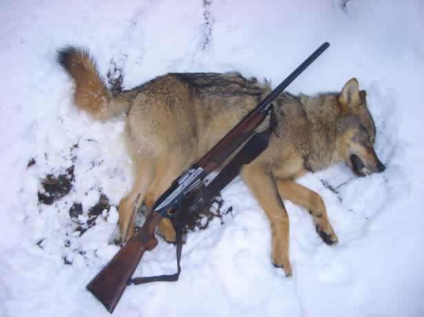  hunting.by