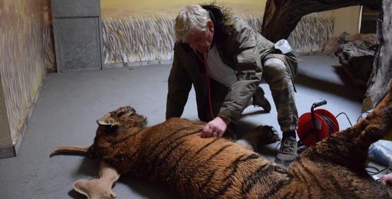 Ð¯ÑÐ°ÑÐ»Ð°Ñ ÐÑÑÐ±ÑÐ»ÑÑÐºÑ Ñ Ð°Ð´Ð·ÑÐ½ Ð· ÑÑÐ³ÑÐ°Ñ / Zoo PoznaÅ 