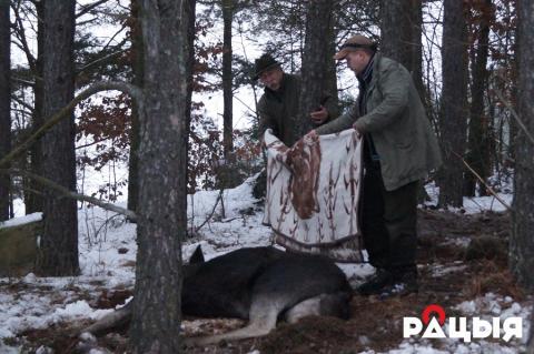 ÐÐµÑÑÐ½ÑÐµ ÑÐµÑÑÑÐµ Ð´Ð½Ñ Ð¿ÑÐ¸Ð½Ð¾ÑÐ¸Ð»Ð¸ Ð»Ð¾ÑÑ Ð²Ð¾Ð´Ñ Ð¸ ÐµÐ´Ñ