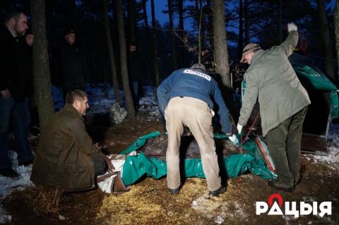 ÐÐ°ÐºÐ¾Ð½ÐµÑ, Ð±Ð»Ð°Ð³Ð¾Ð´Ð°ÑÑ ÑÐ¿Ð¾Ð½ÑÐ¾ÑÑ, Ð»Ð¾ÑÑ Ð¿ÐµÑÐµÐ²ÐµÐ·Ð»Ð¸ Ð² ÑÐµÐ°Ð±Ð¸Ð»Ð¸ÑÐ°ÑÐ¸Ð¾Ð½Ð½ÑÐ¹ ÑÐµÐ½ÑÑ